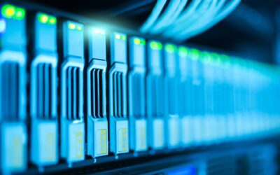 Larry Ellison propone ai governi la gestione unificata dei dati dei cittadini