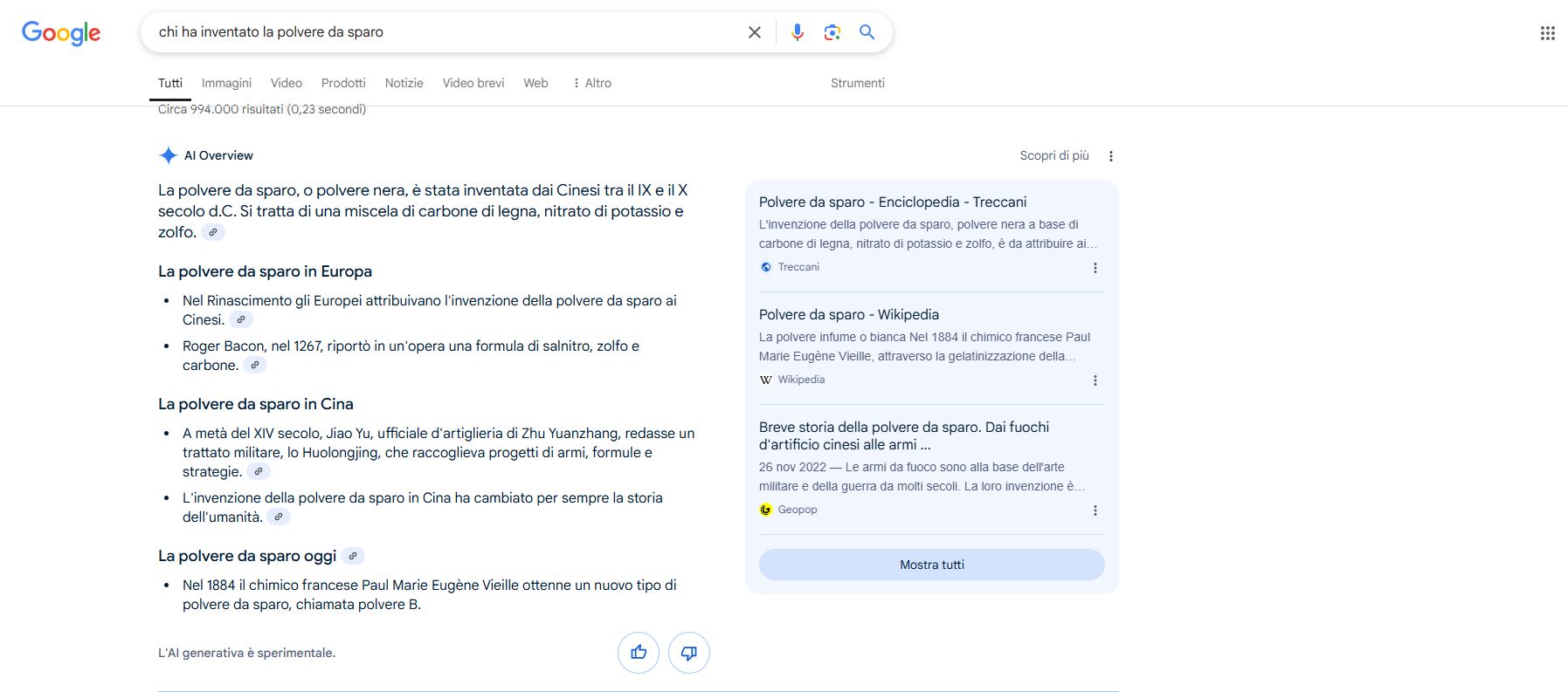 AI Overview Google: cosa sono? Quali i rischi e le opportunità?
